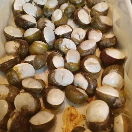 Apartment Sa Mendula Bonorva